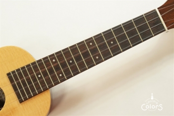 ECO-S - Spruce Top / Rosewood Side&Back